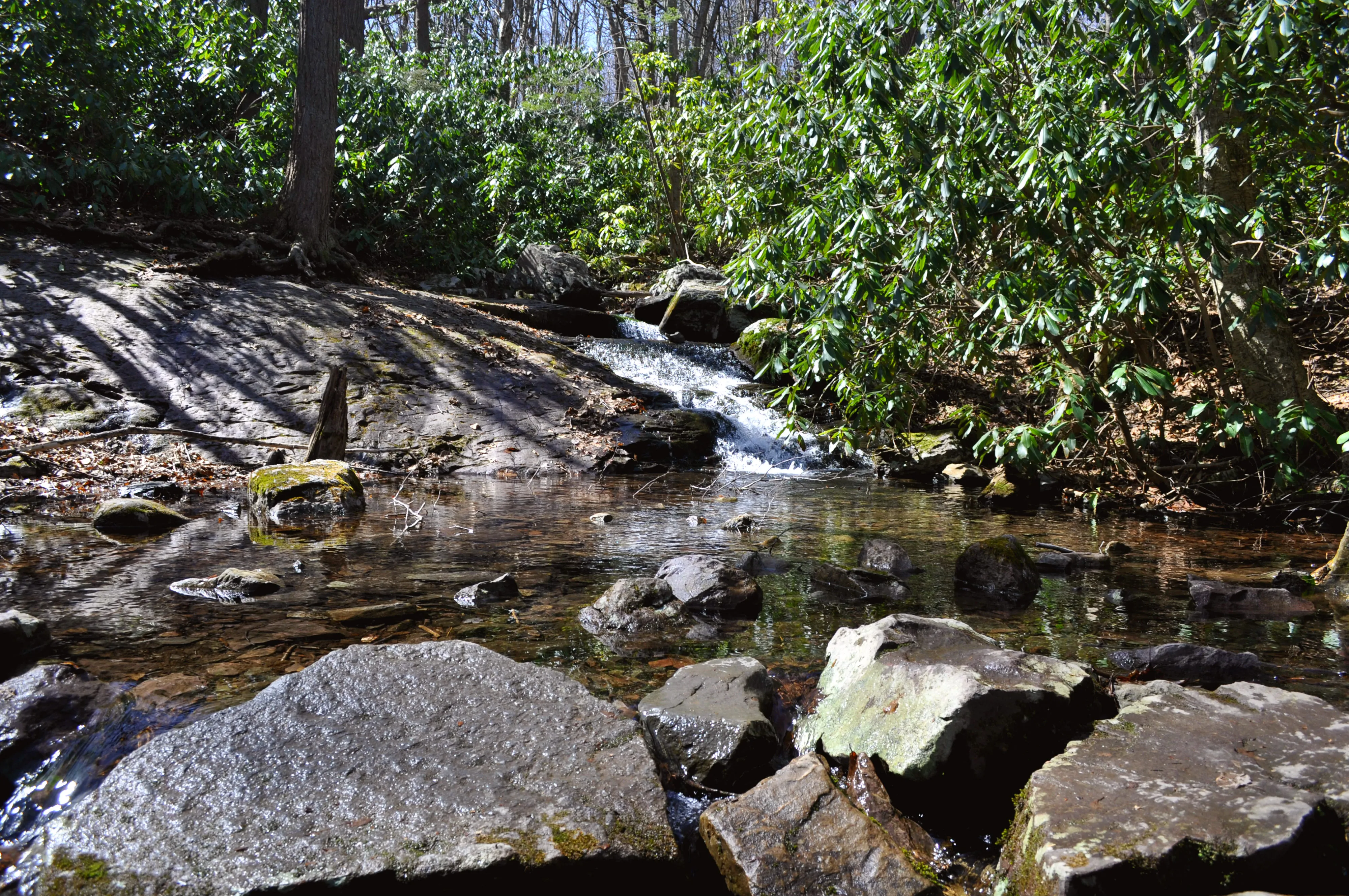 Hike Mount Minsi