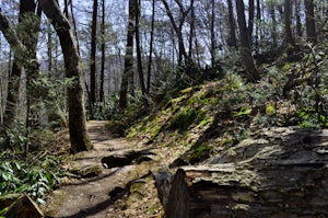Hike Mount Minsi