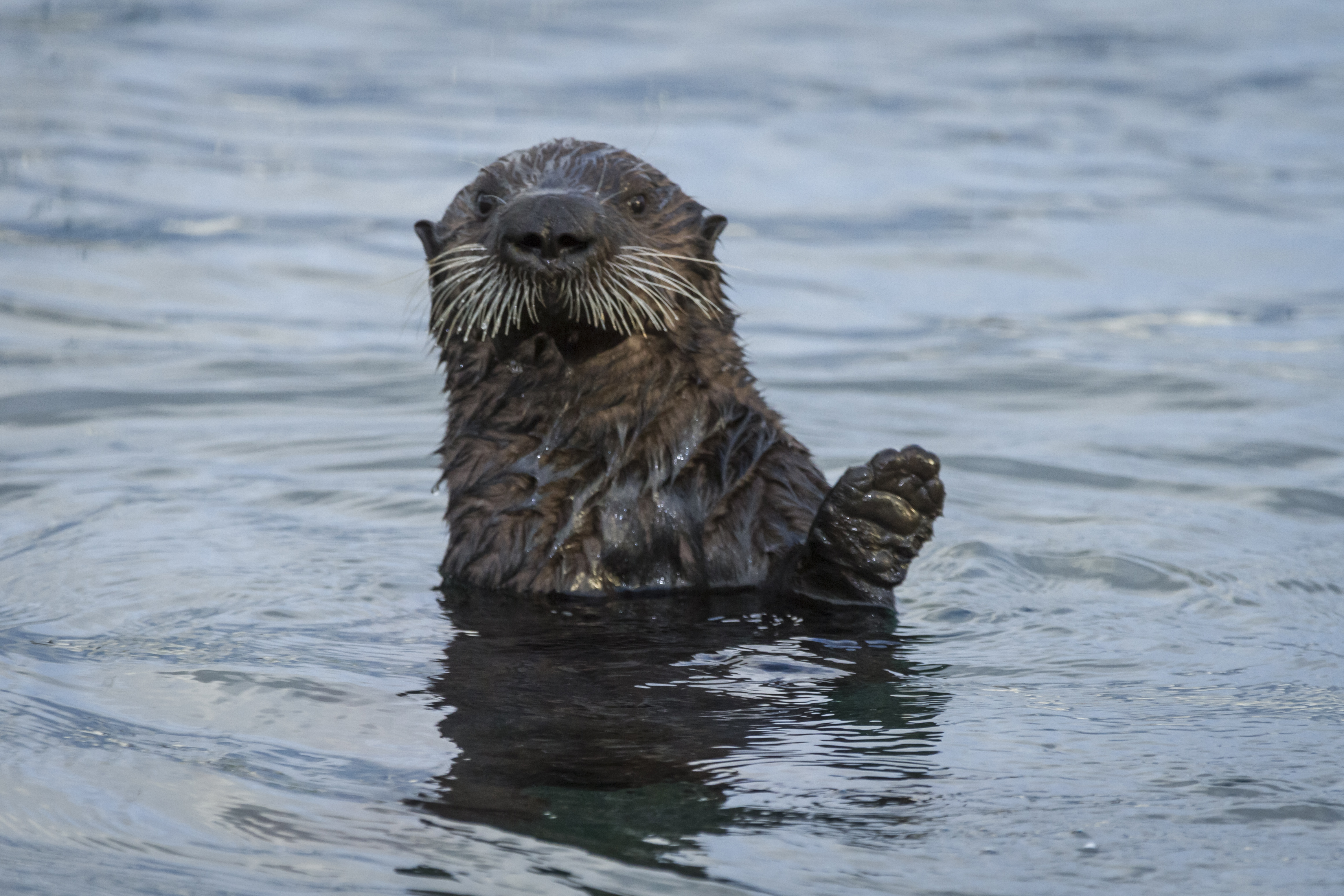 Explore Monterey Bay