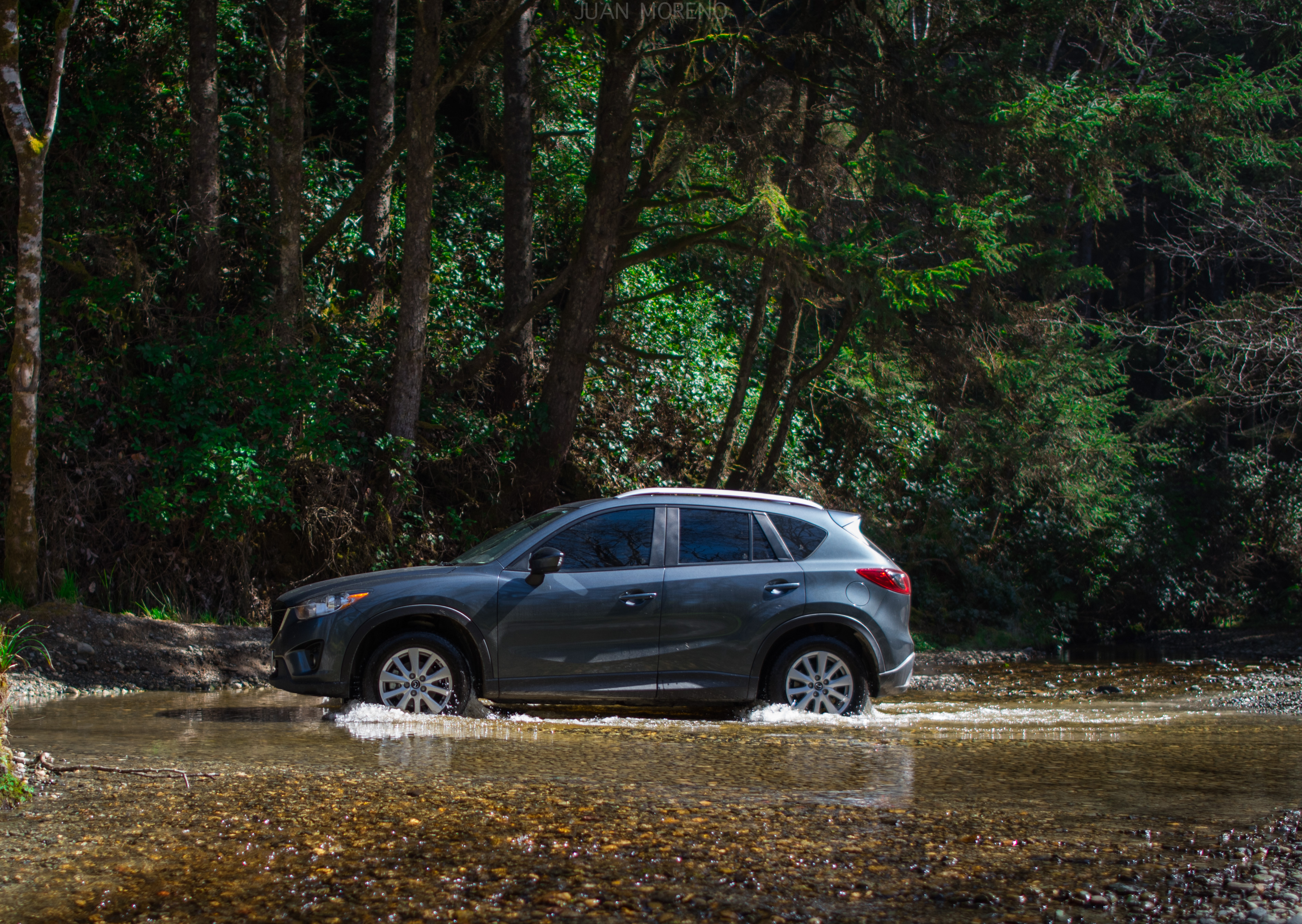 Explore the Prairie Creek Redwoods