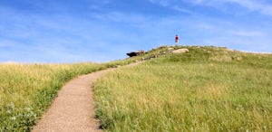 Drive the Scenic Loop at Theodore Roosevelt National Park 