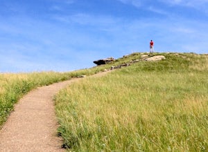 Drive the Scenic Loop at Theodore Roosevelt National Park 