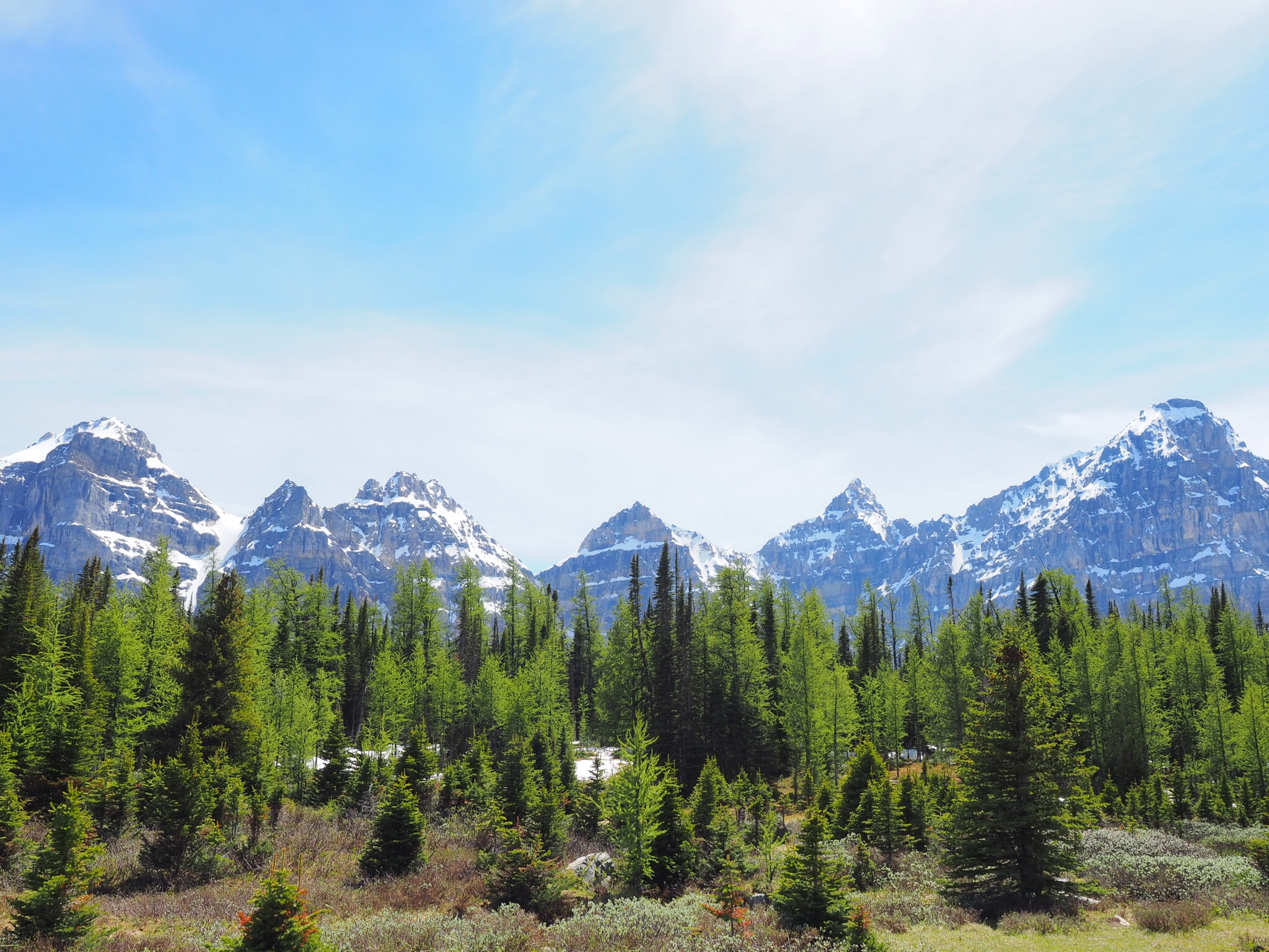 Sentinel Pass: Larch Valley to Paradise Valley