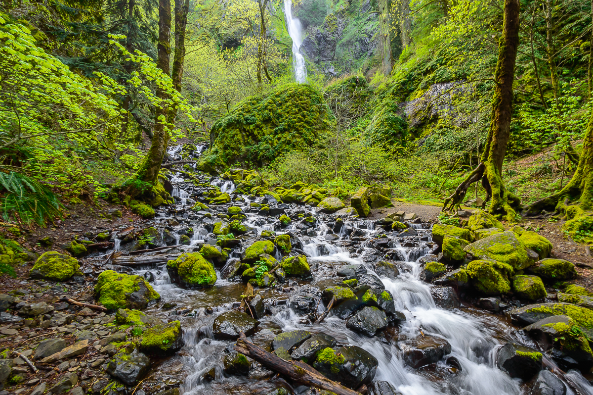 Starvation Creek Falls 
