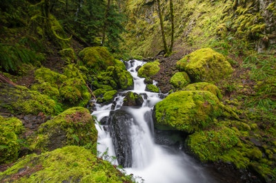 Gorton Creek Falls Hike , Wyeth Campground Day Use Area