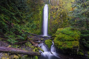 Gorton Creek Falls 