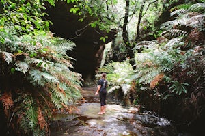 Explore Deep Pass Canyon
