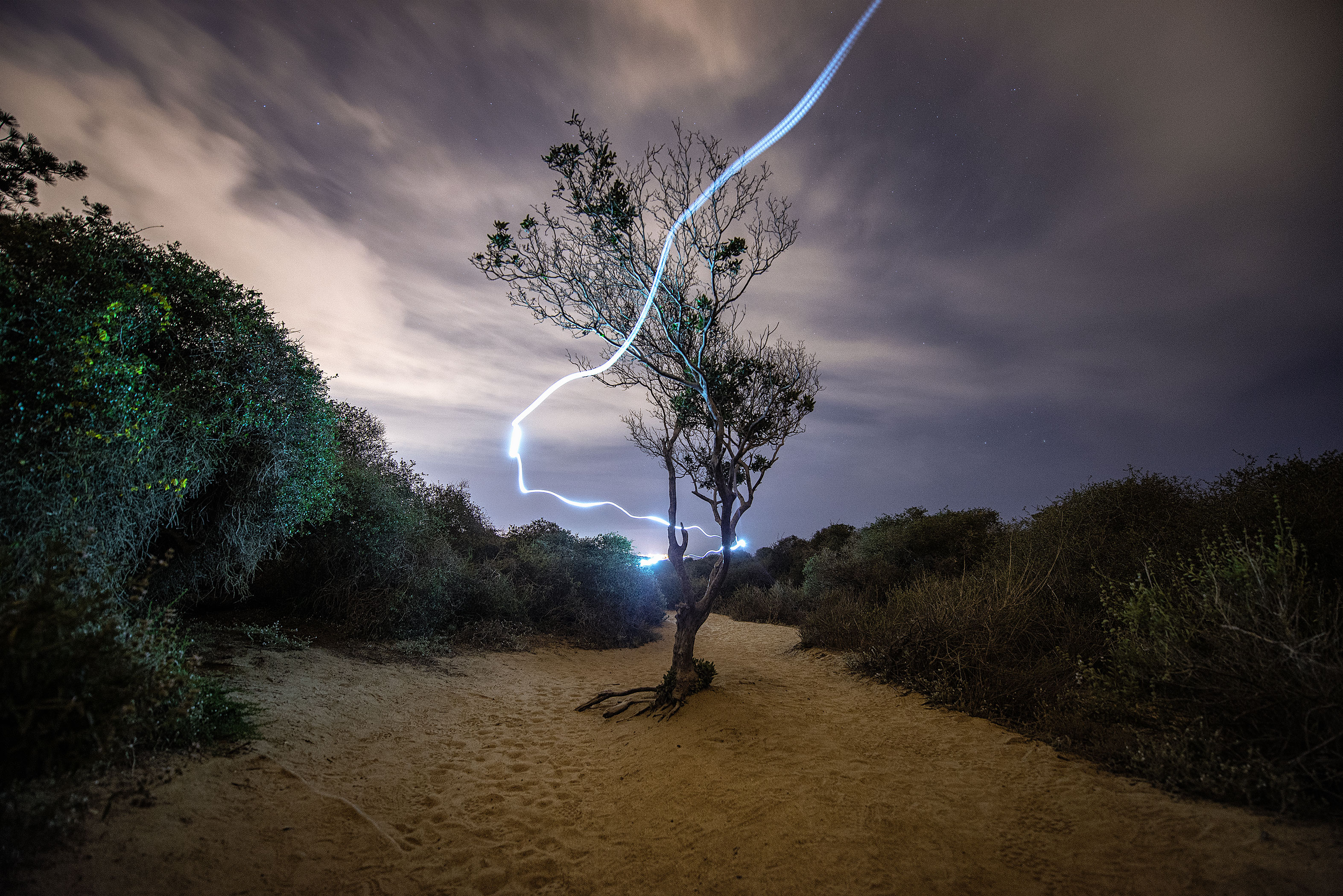 Hike Torrey Pines Natural Reserve  