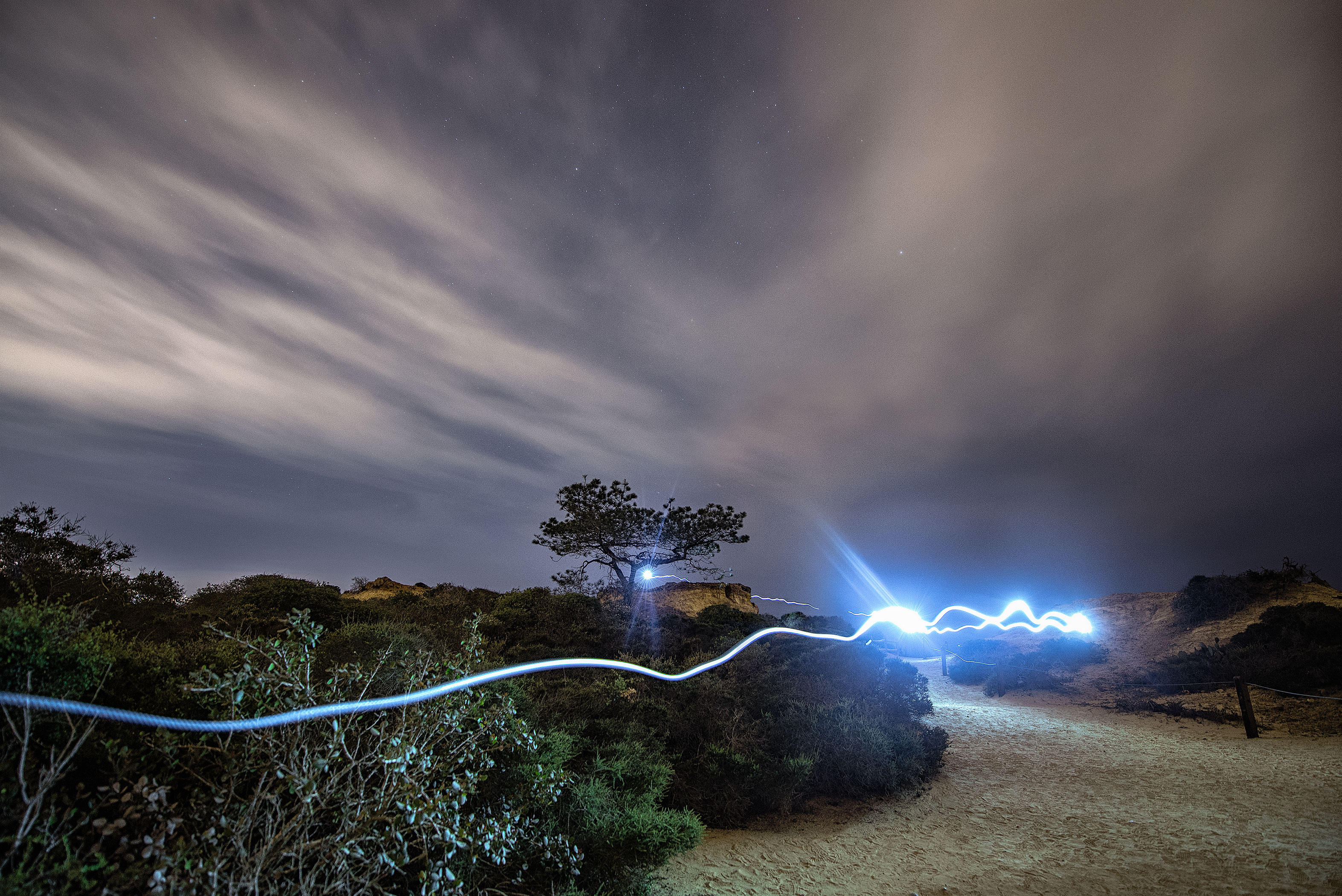 Hike Torrey Pines Natural Reserve  