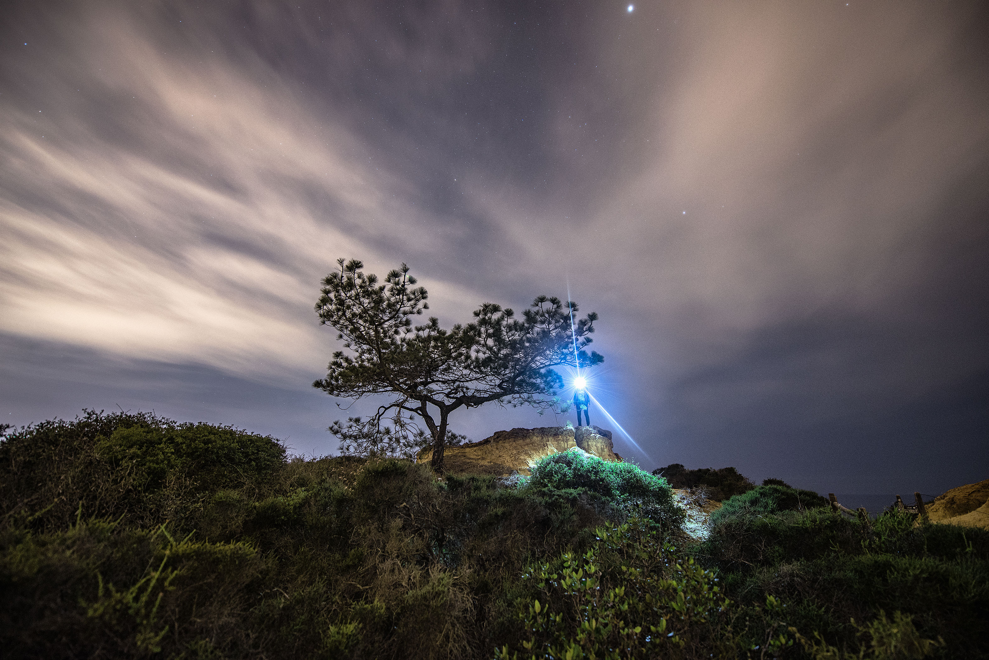 Hike Torrey Pines Natural Reserve  
