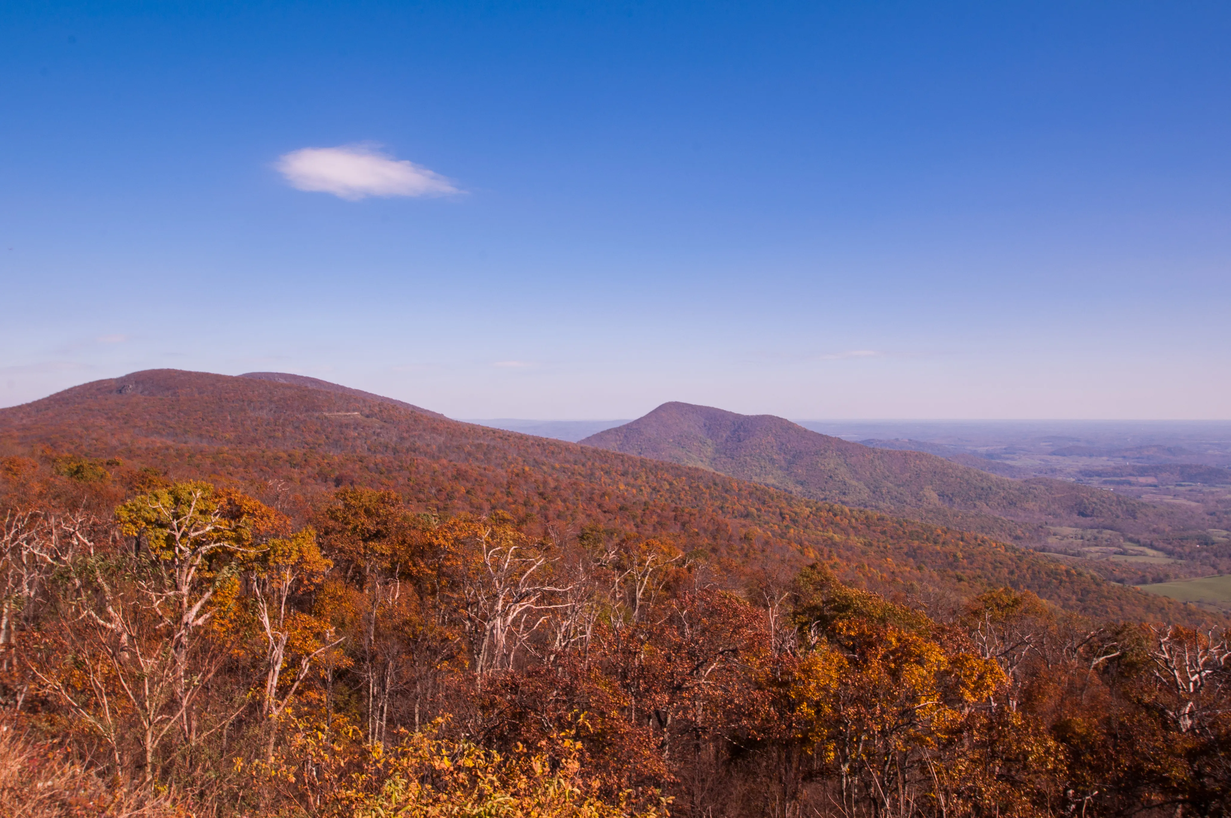 Drive Skyline Drive in the Fall