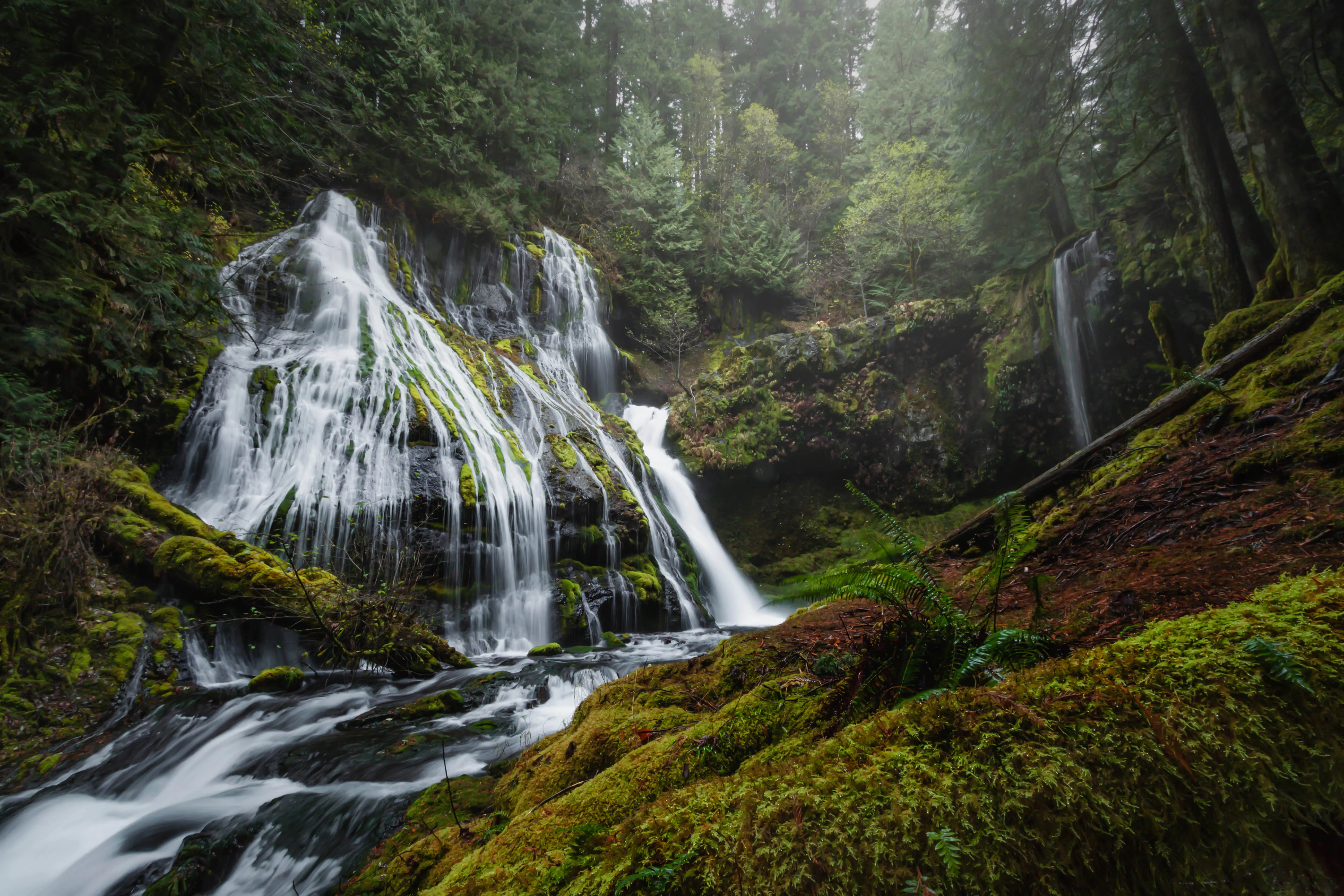 Panther Creek Falls