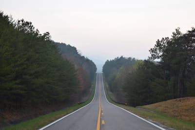 Explore Alabama's Highest Point