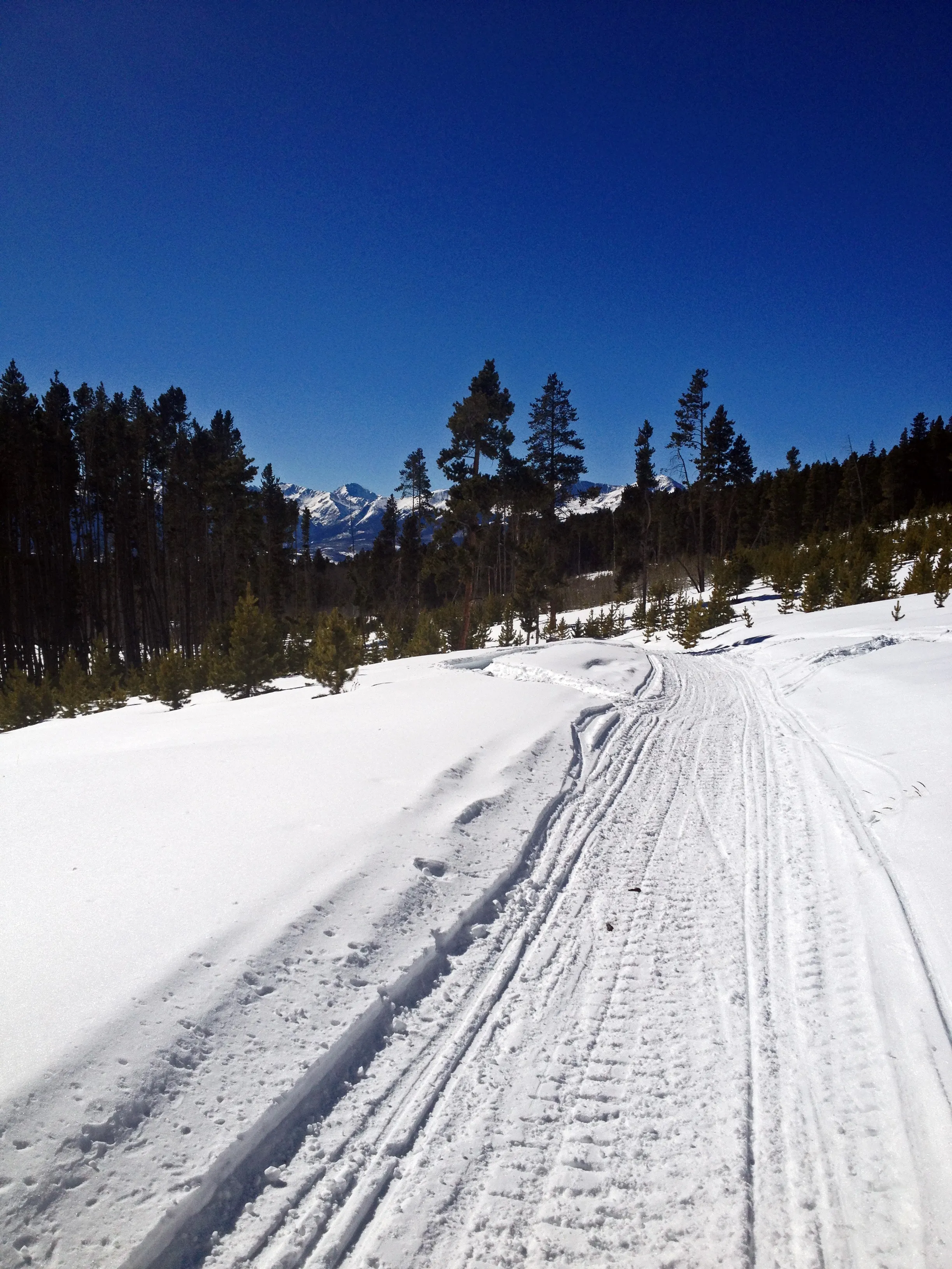 Overnight at the Emma and Marceline Yurts, Leadville