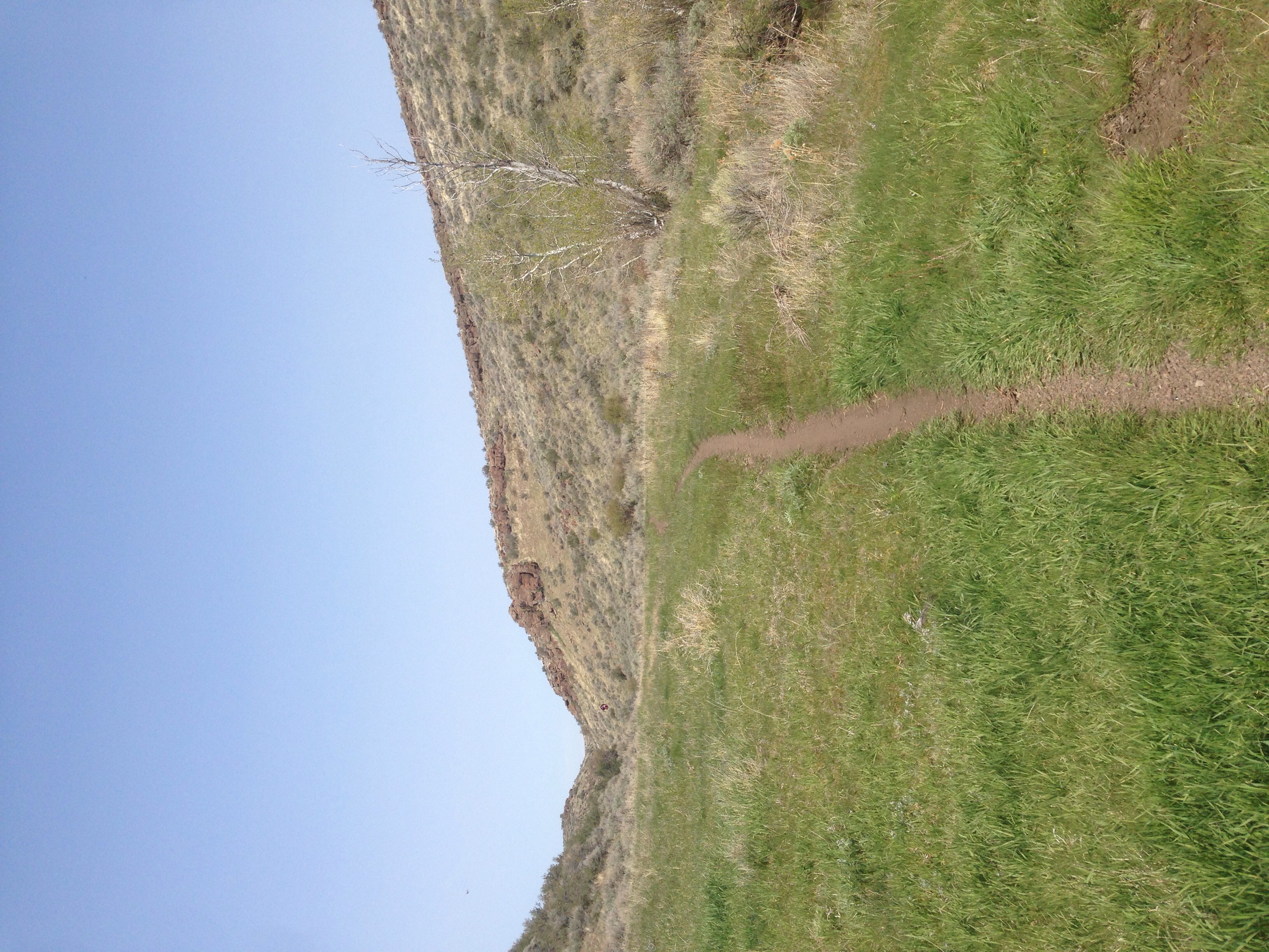 Mountain Bike at Indian Springs