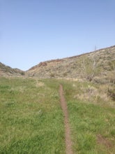 Mountain Bike at Indian Springs