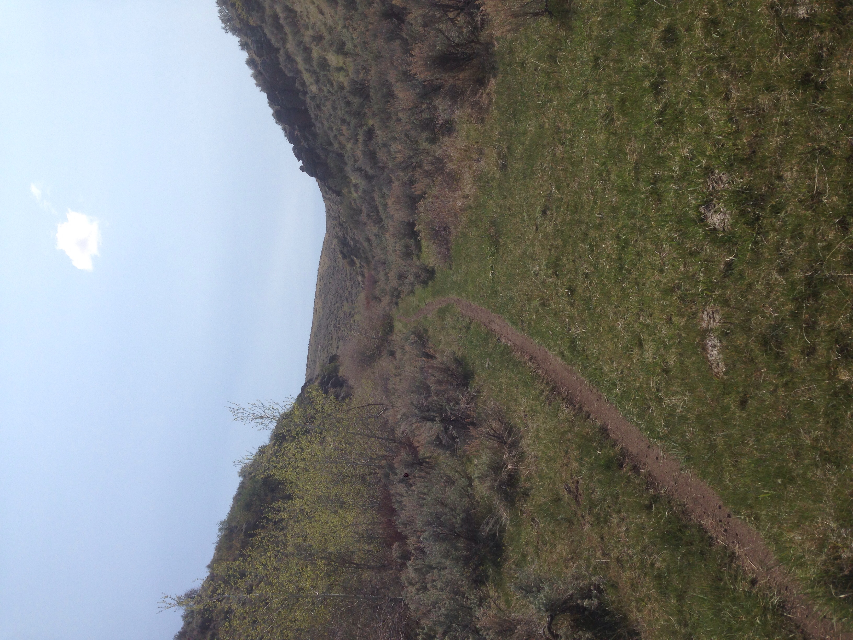 Mountain Bike at Indian Springs