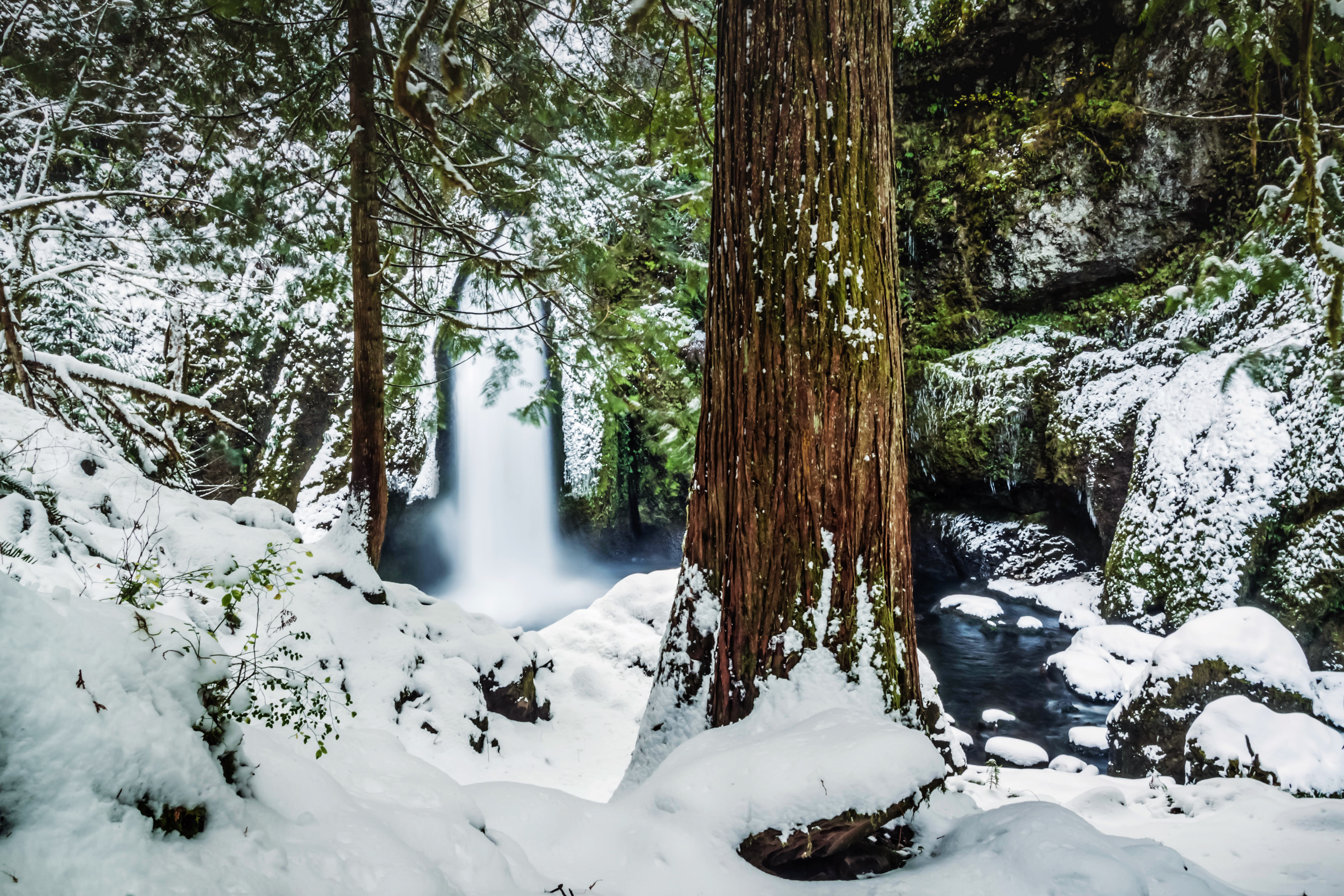 Snow Hike to Wahclella Falls