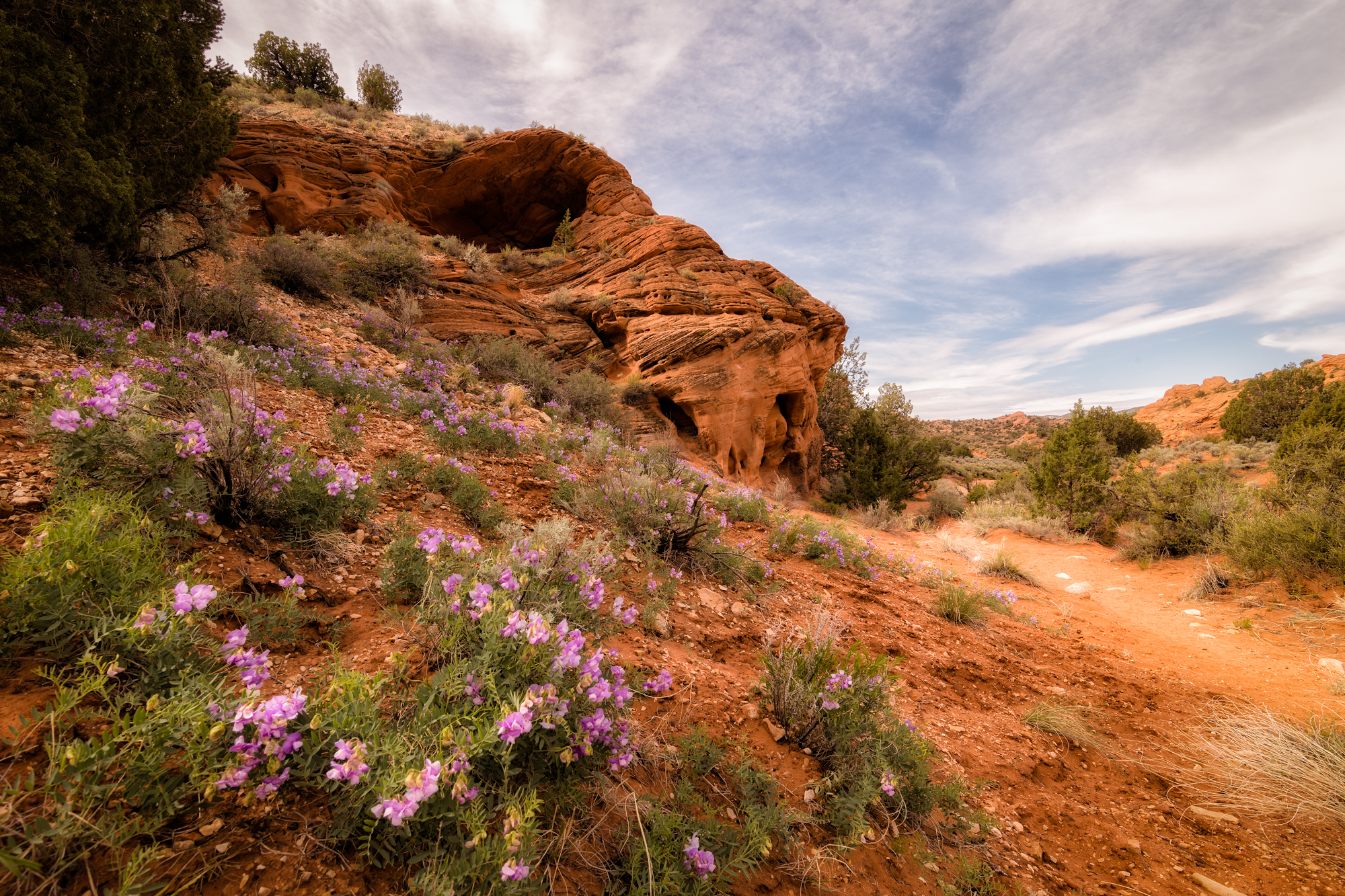 Wire Pass Slot Canyon