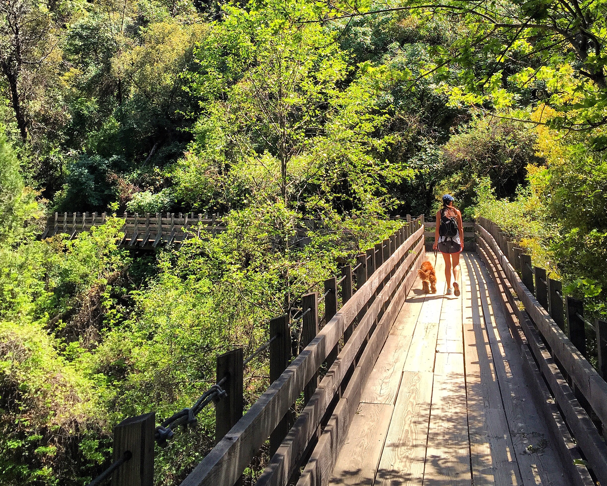 Hike the Independence Trail