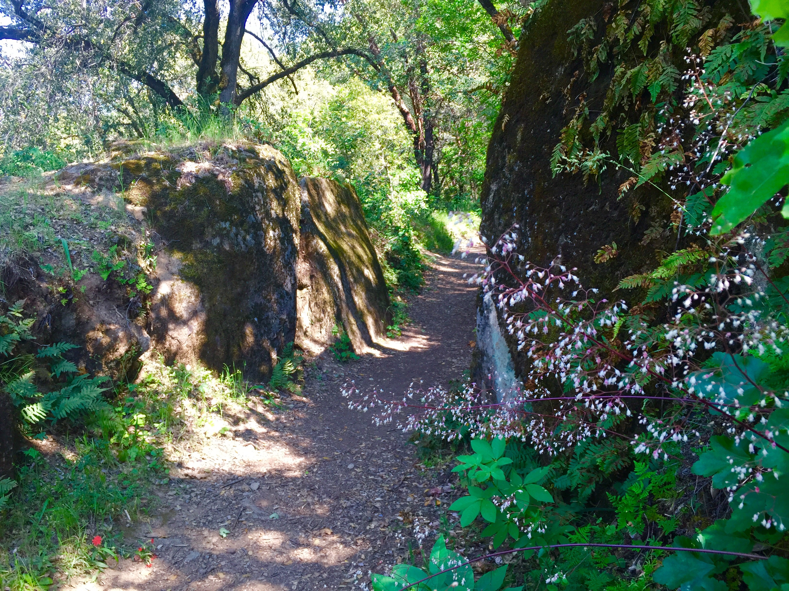 Hike the Independence Trail