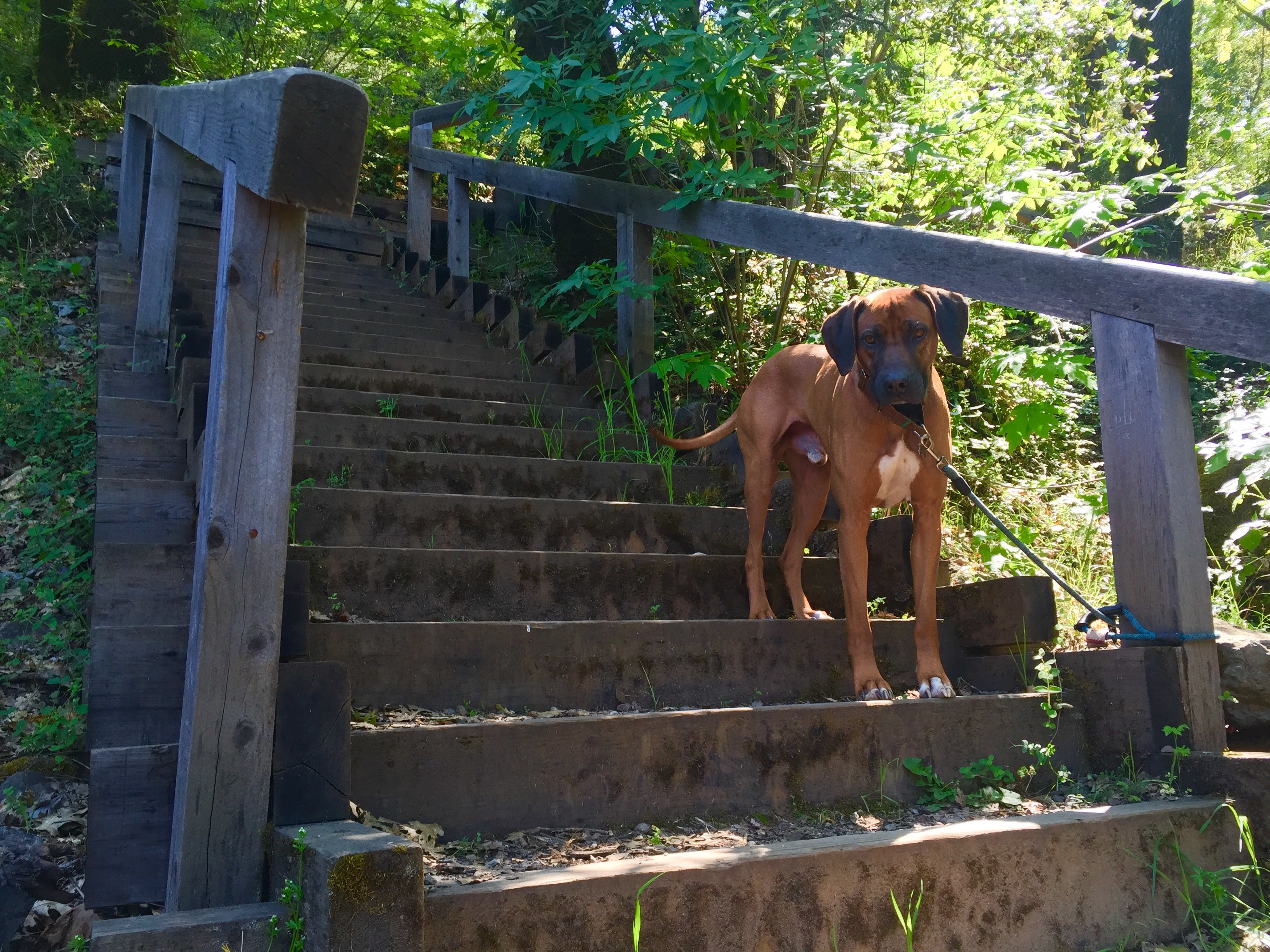Hike the Independence Trail