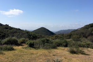 Hike Sitton Peak