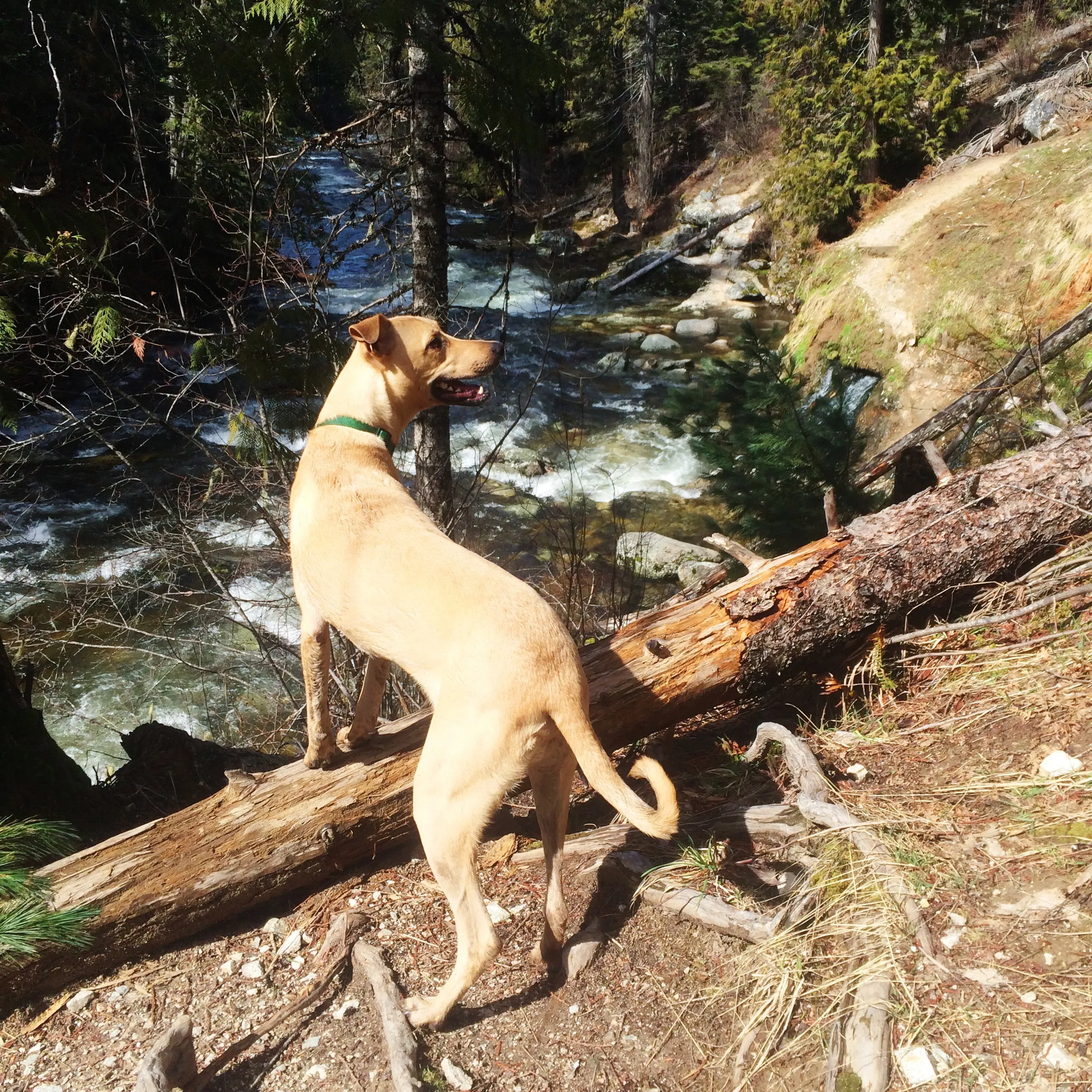 Jerry Johnson Hot Springs