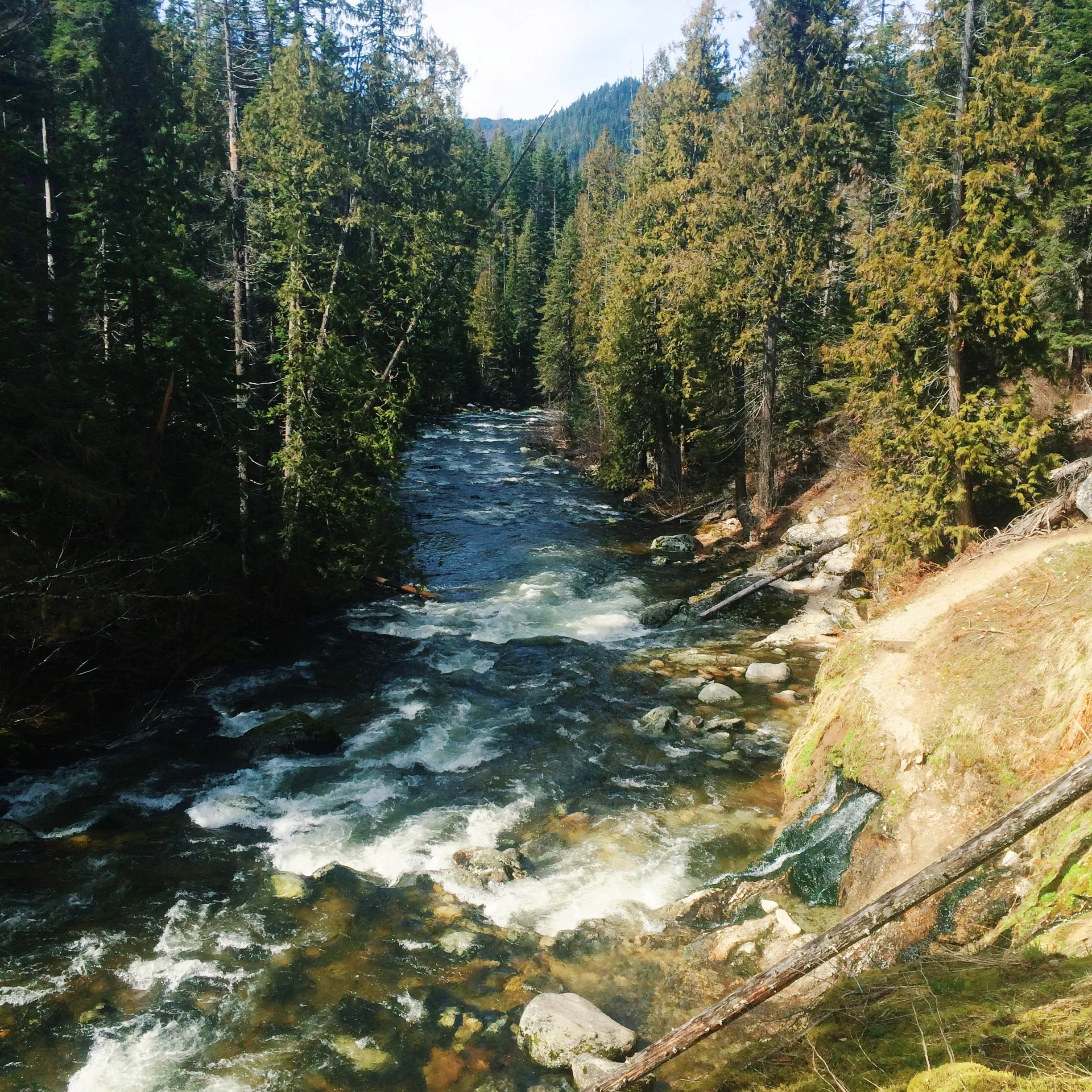 Jerry Johnson Hot Springs