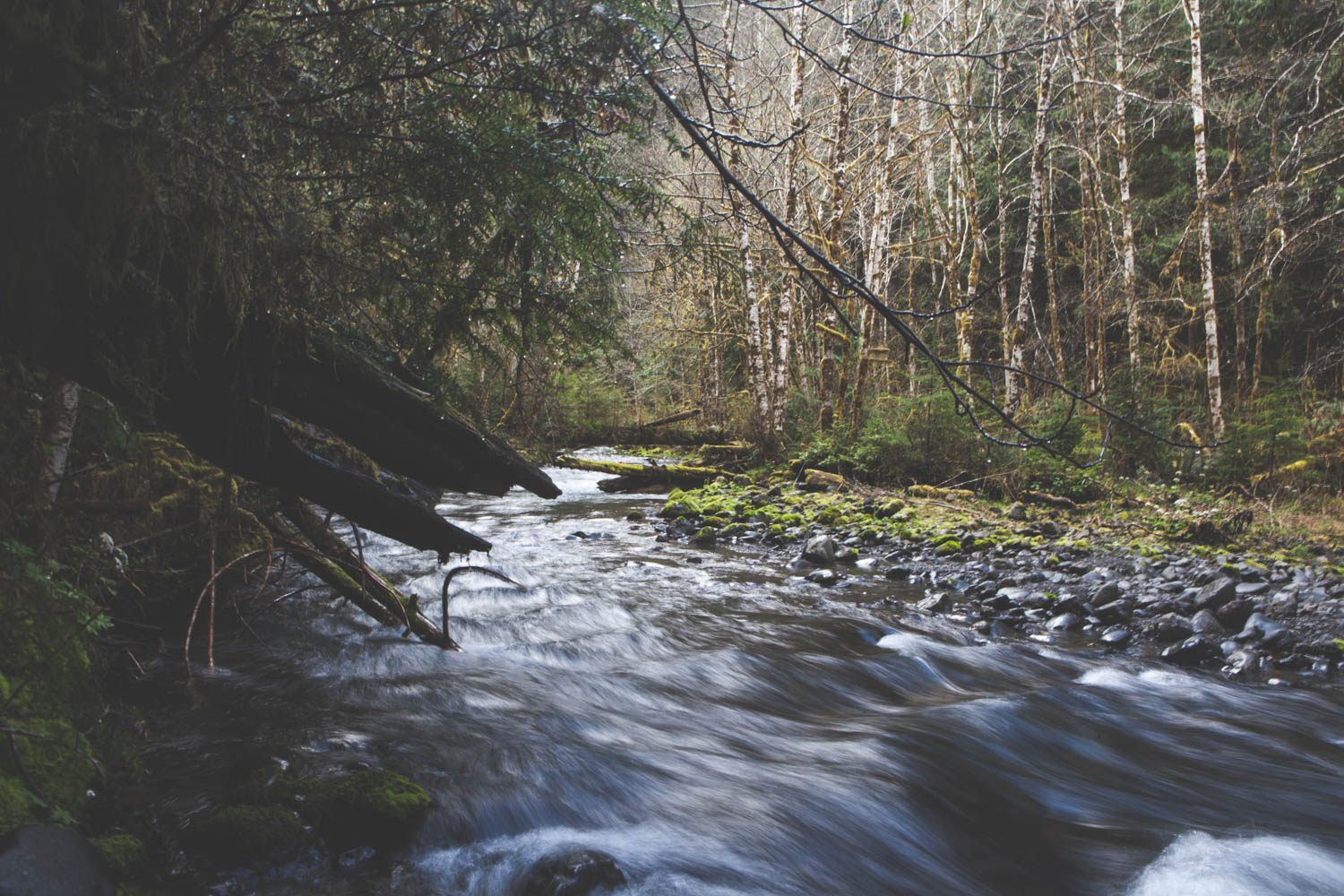 Marymere Falls
