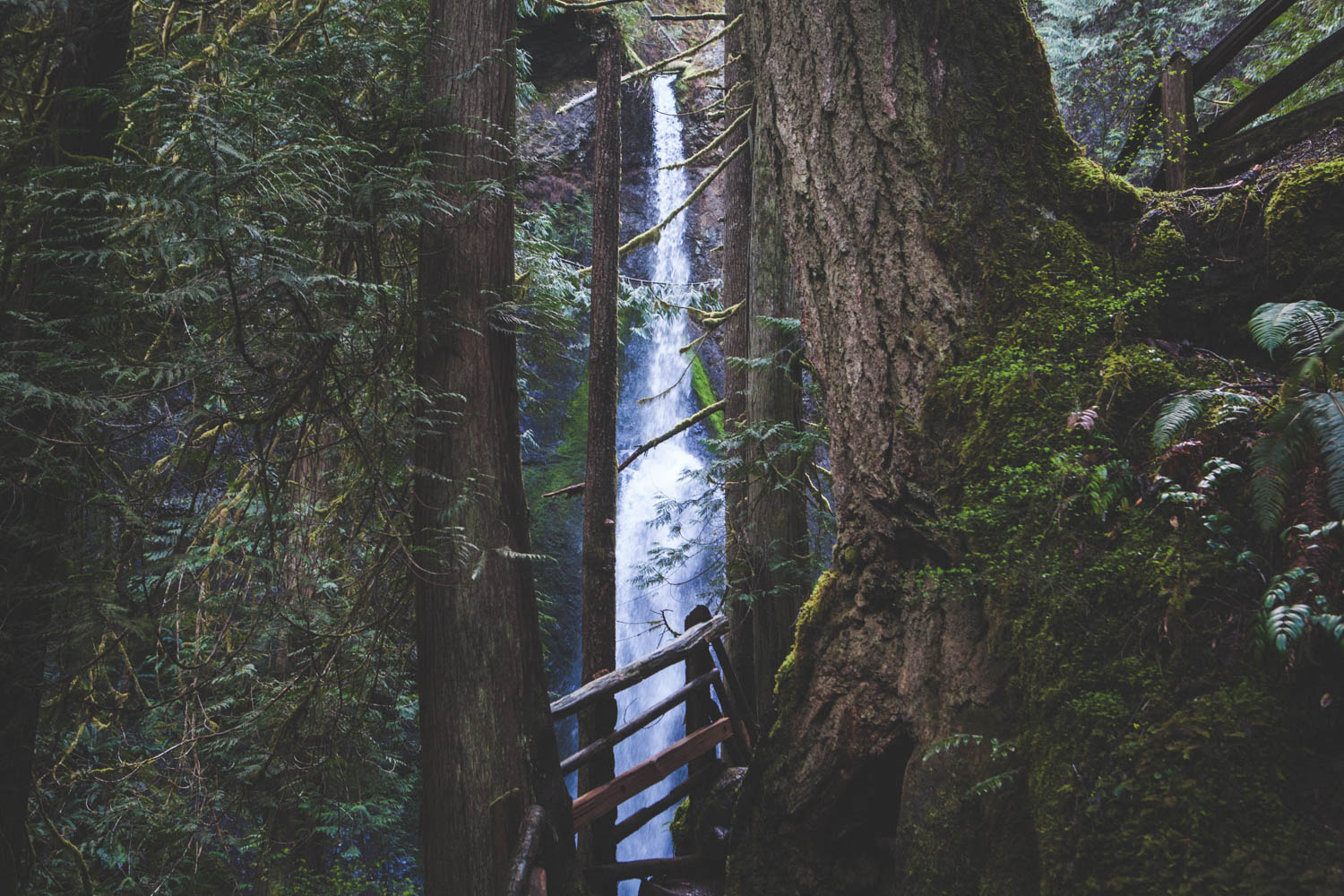 Marymere Falls