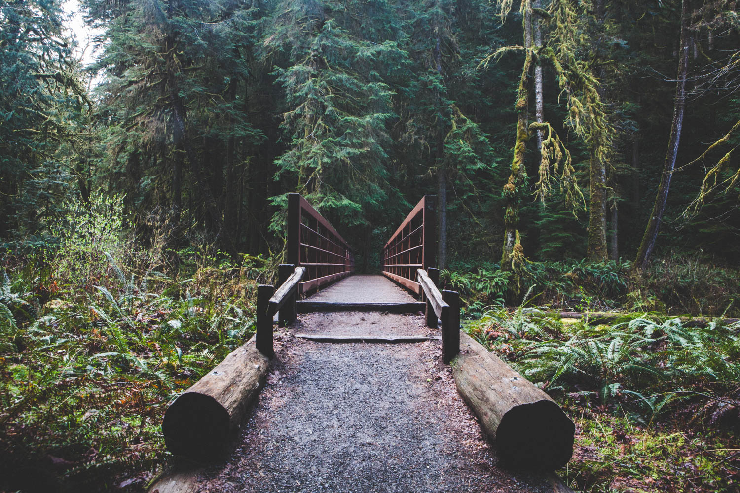 Marymere Falls