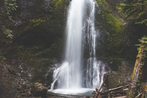 Hike to Marymere Falls