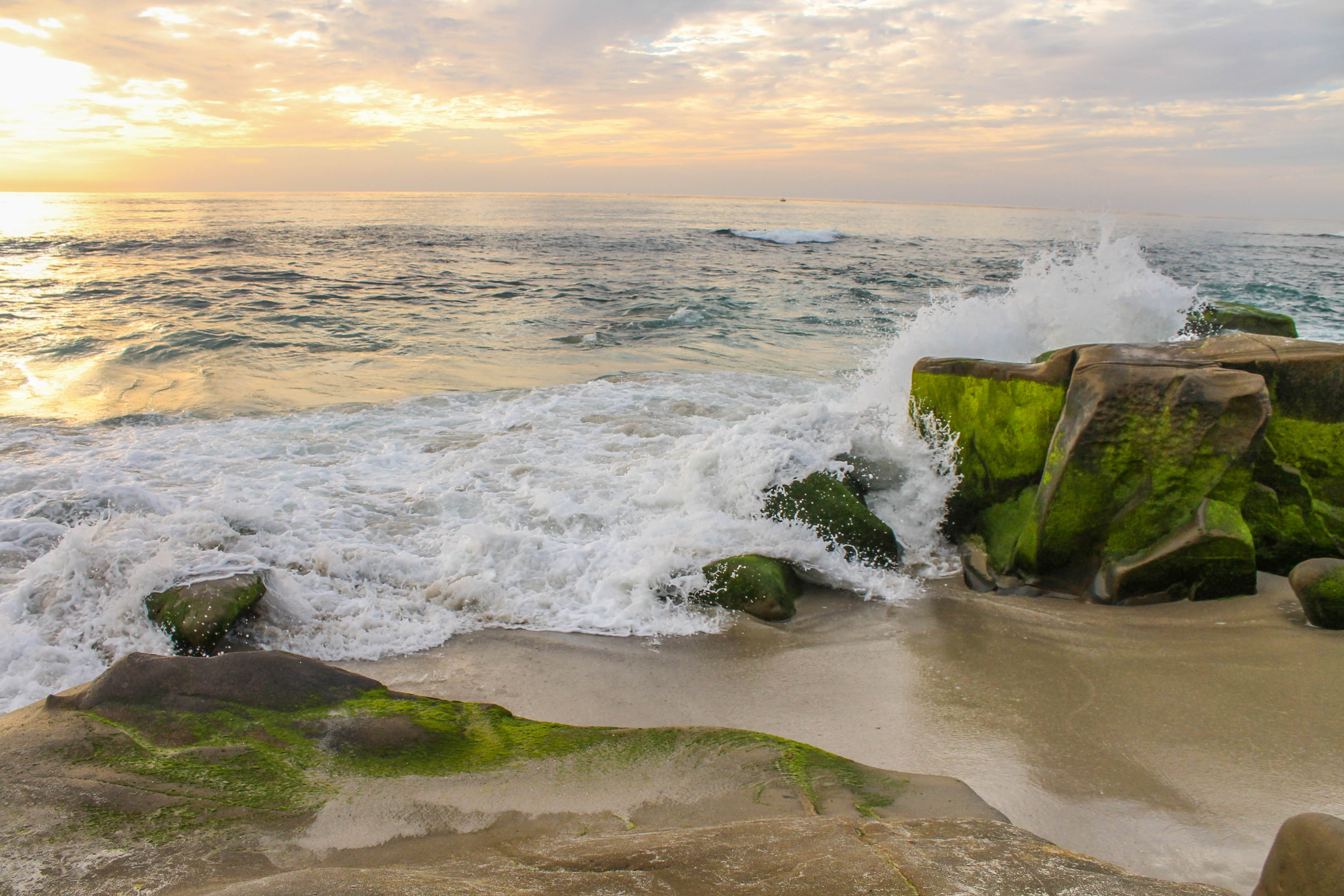 Windansea Beach 