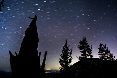 Camping and Shooting the Stars on Mount San Jacinto
