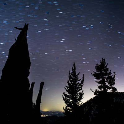 Camping and Shooting the Stars on Mount San Jacinto
