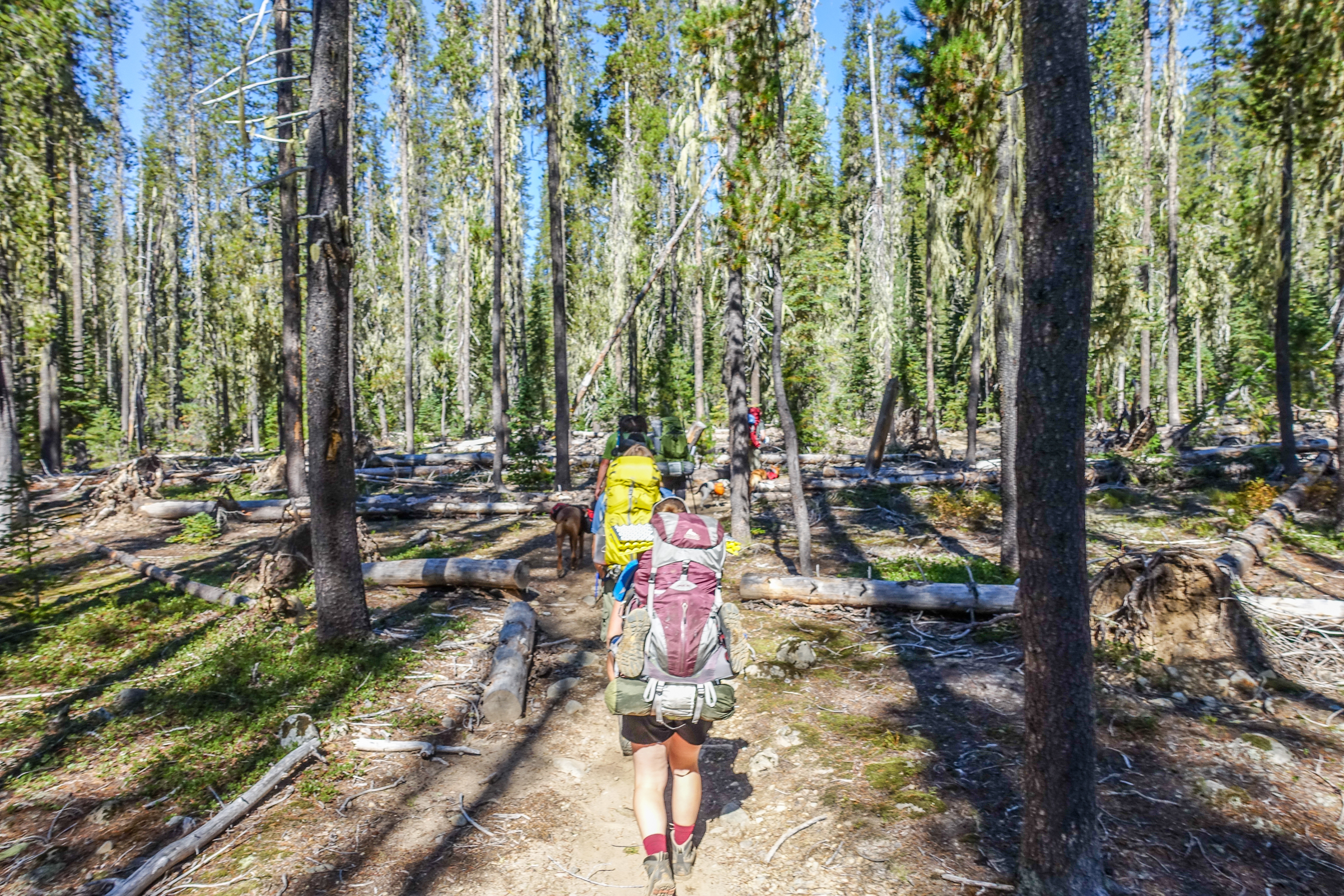 Spade and Venus Lakes