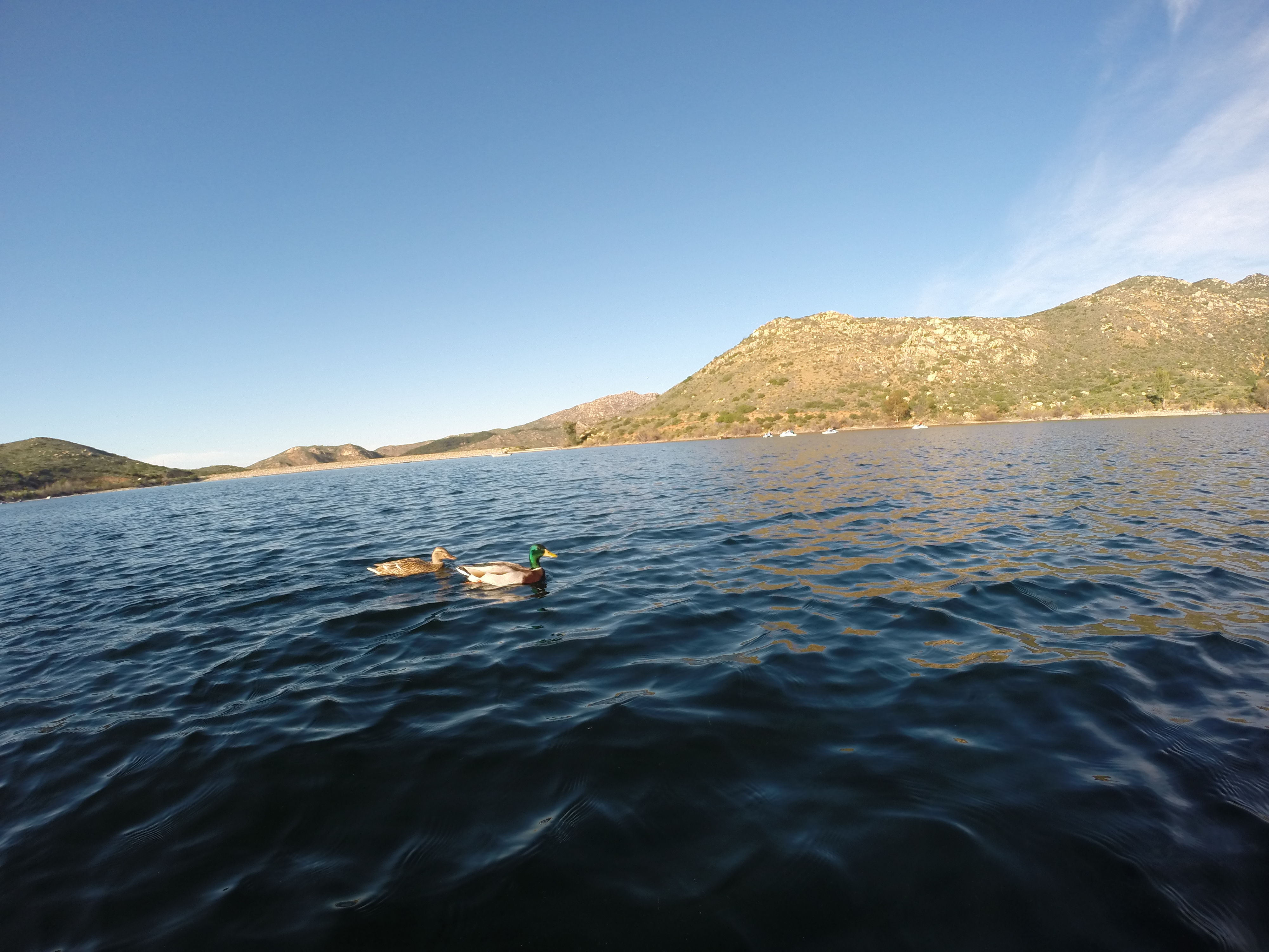 Lake Poway