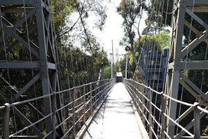 Discover the Spruce Street Suspension Bridge 