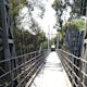 Discover the Spruce Street Suspension Bridge 