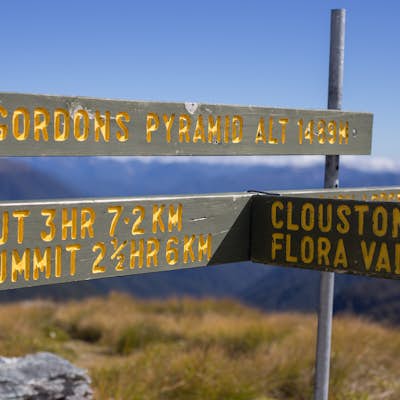 Hike Mount Arthur and the Tablelands