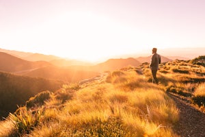 Hike Mount Arthur and the Tablelands