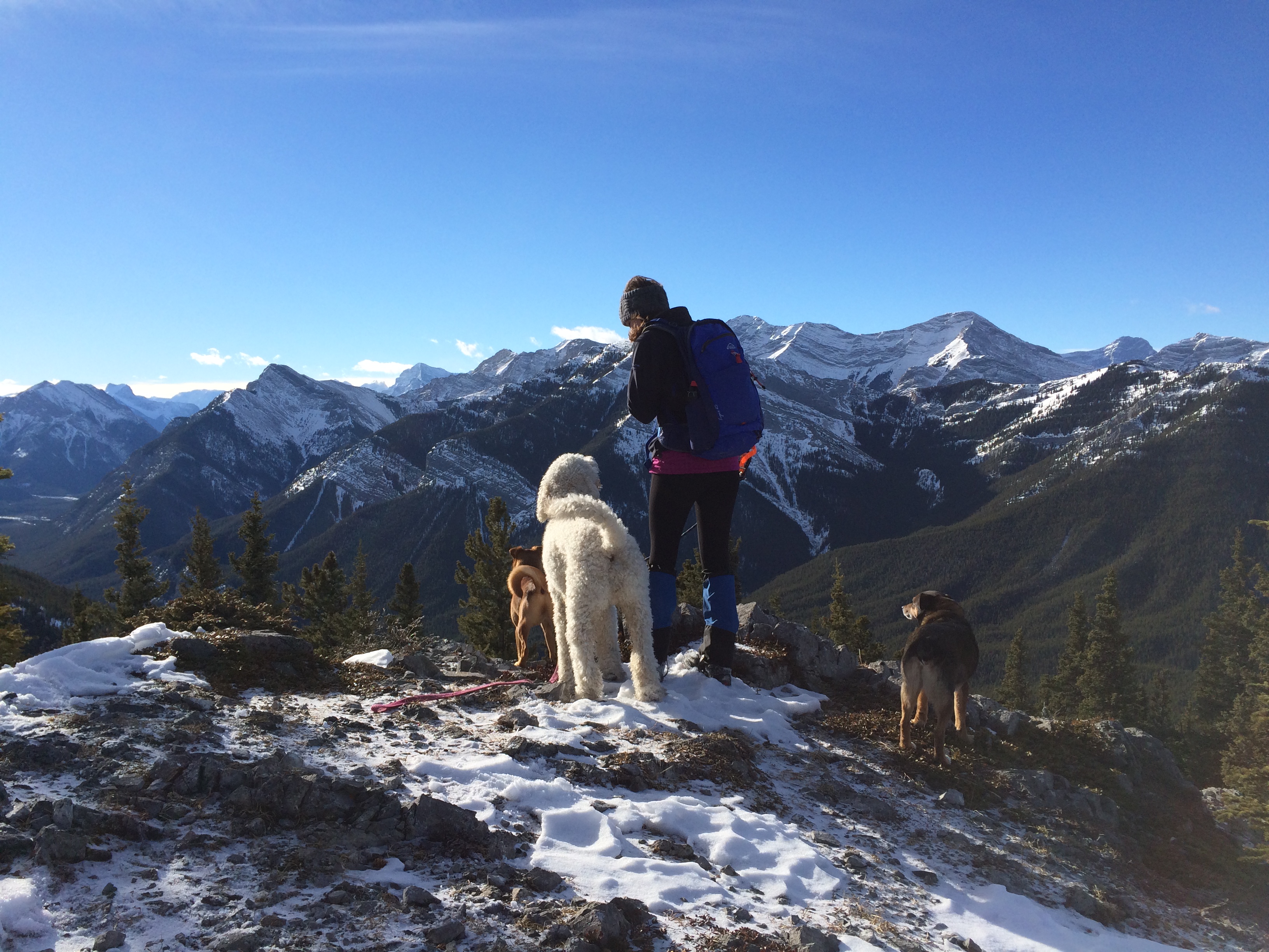 HIke to Barrier Lake Lookout