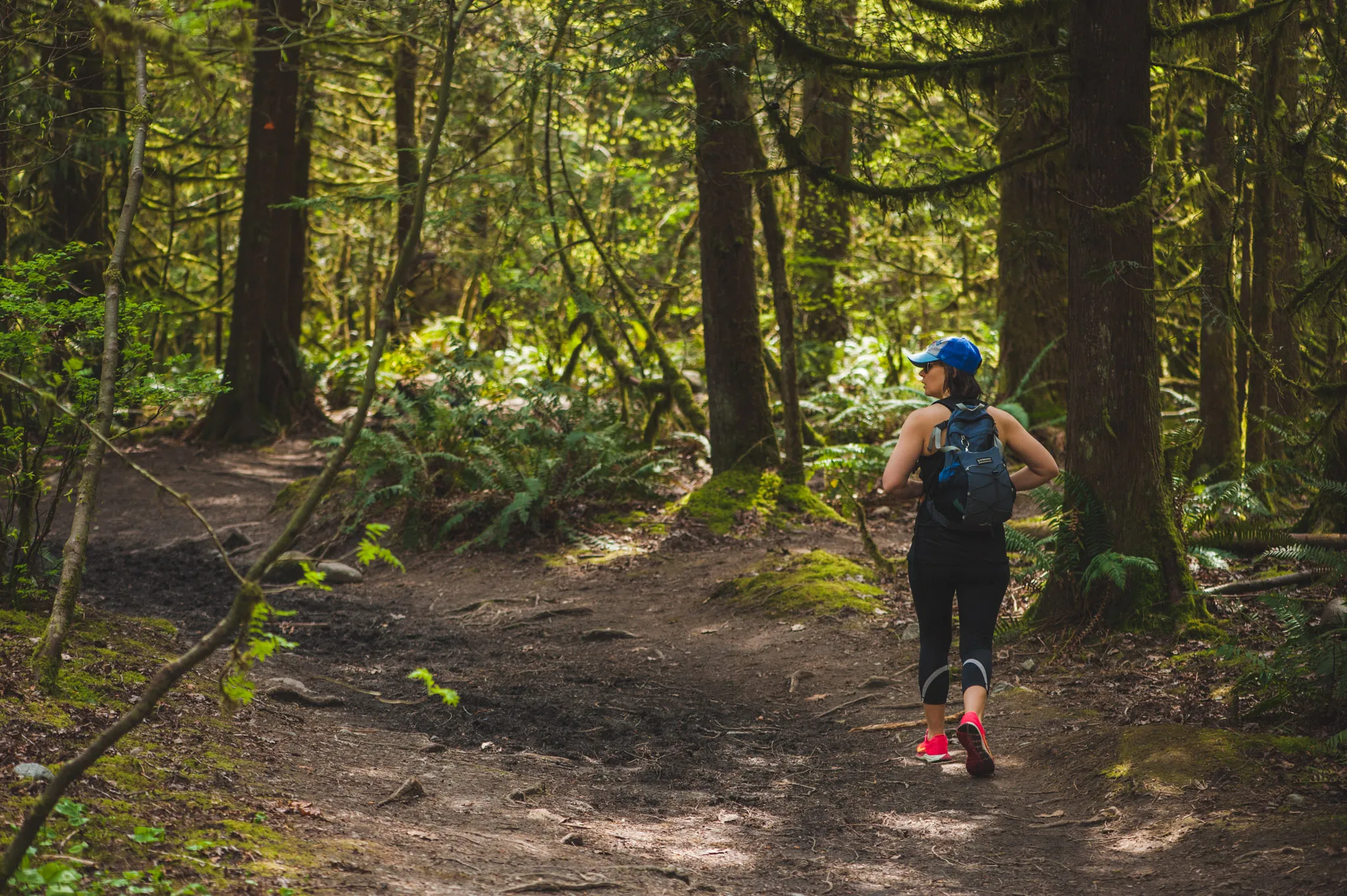 Hike the Lynn Canyon Loop
