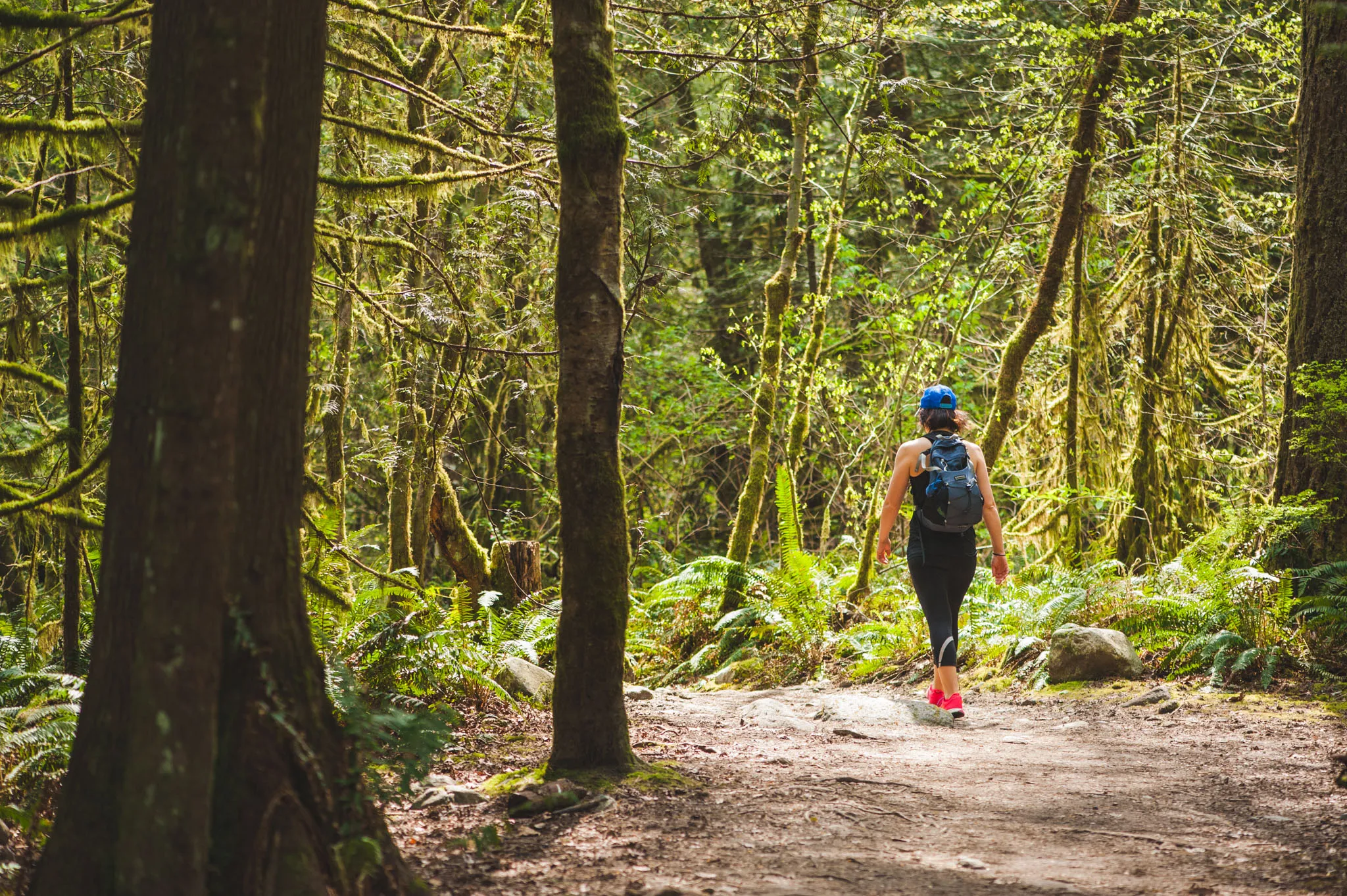 Hike the Lynn Canyon Loop