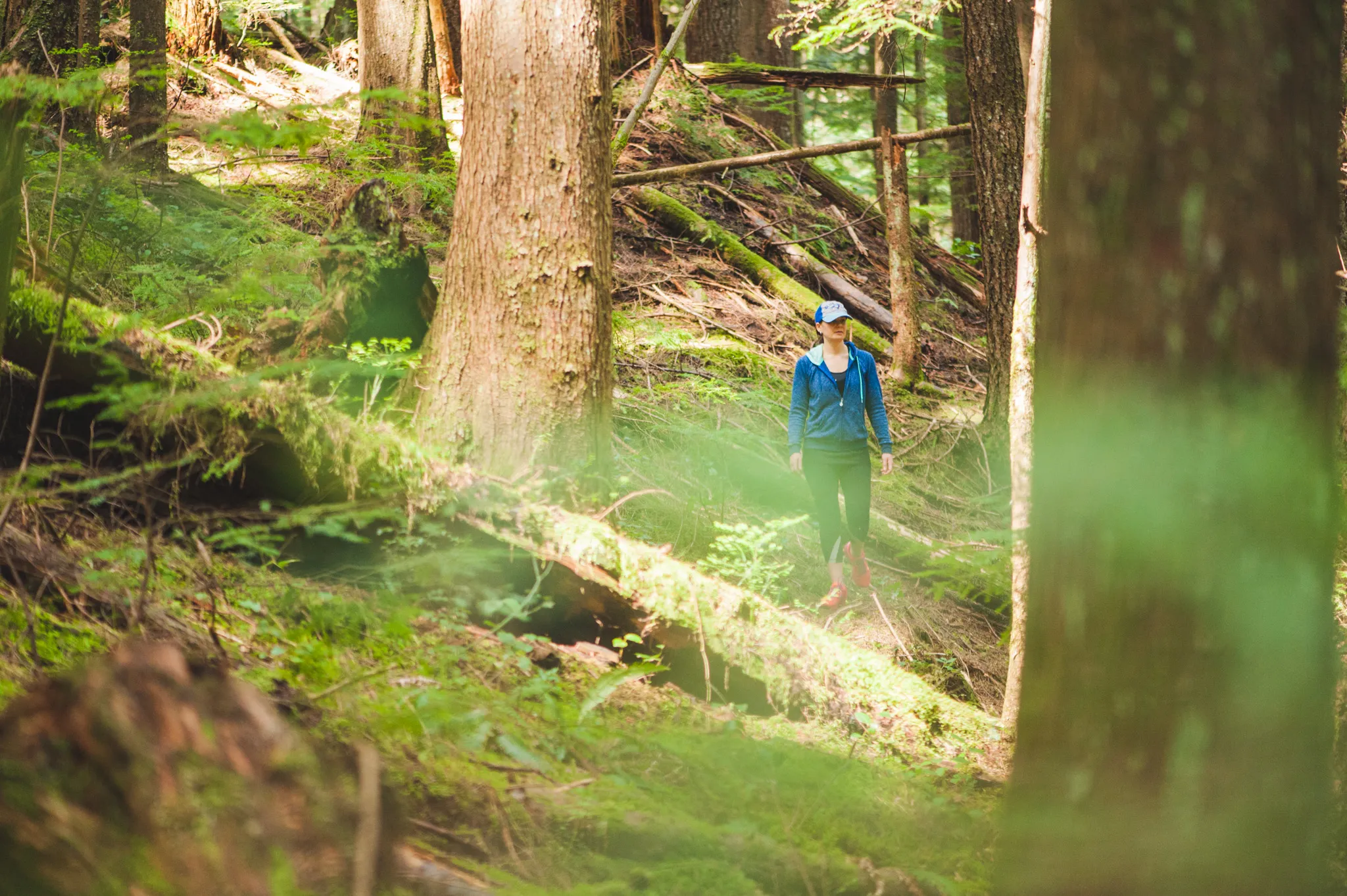 Hike the Lynn Canyon Loop