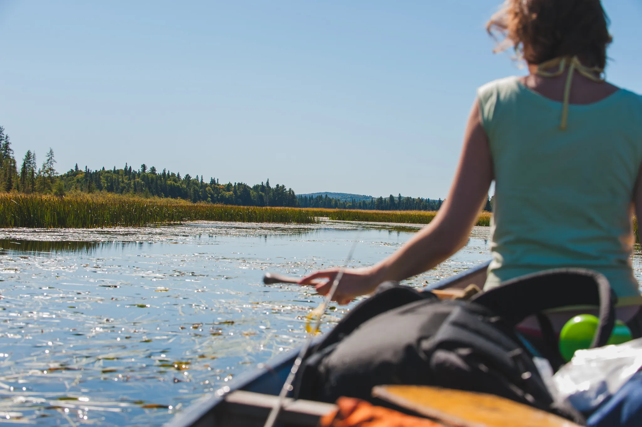 Kayak Opeongo Lake to Big Trout Lake 