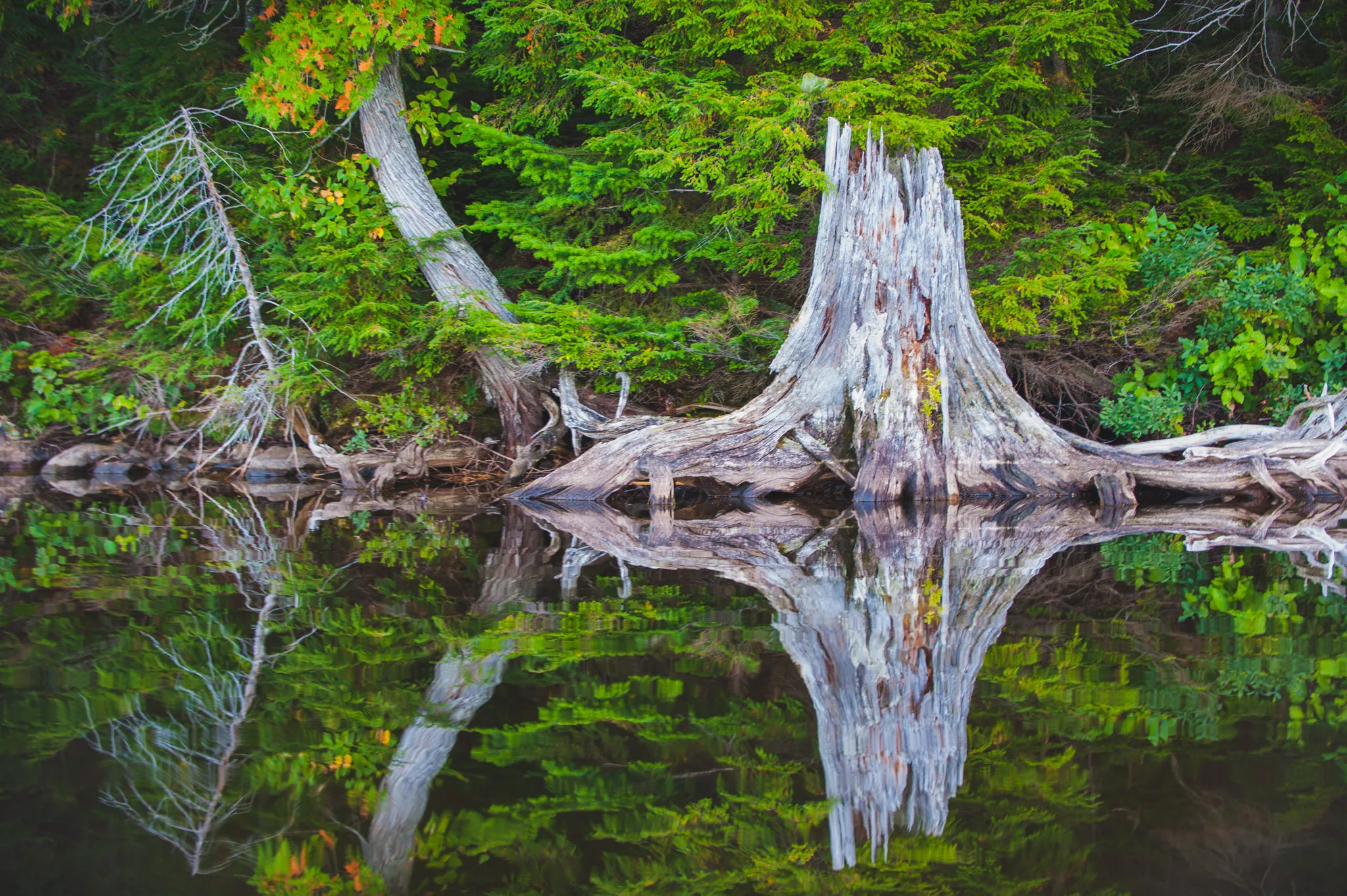 Kayak Opeongo Lake to Big Trout Lake 