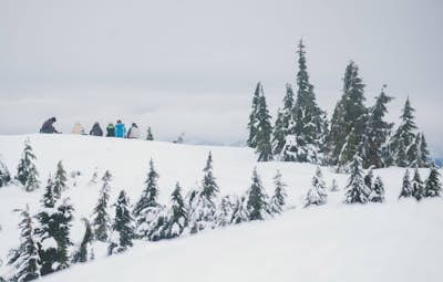 Snowshoe Mt. Seymour