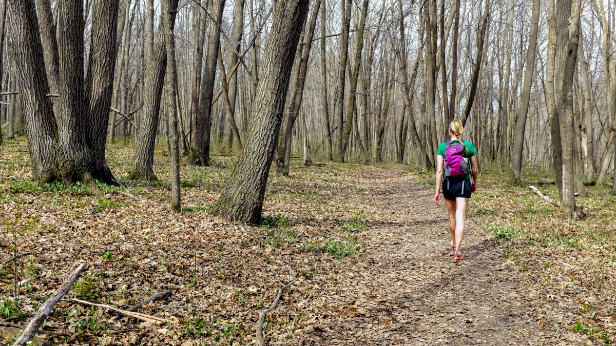 Hike Nerstrand-Big Woods State Park